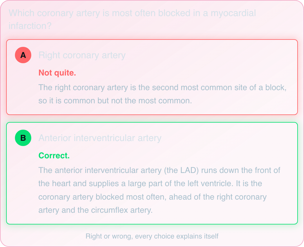 NPLEX-style question on the coronary artery most often blocked in myocardial infarction, with each answer choice explained