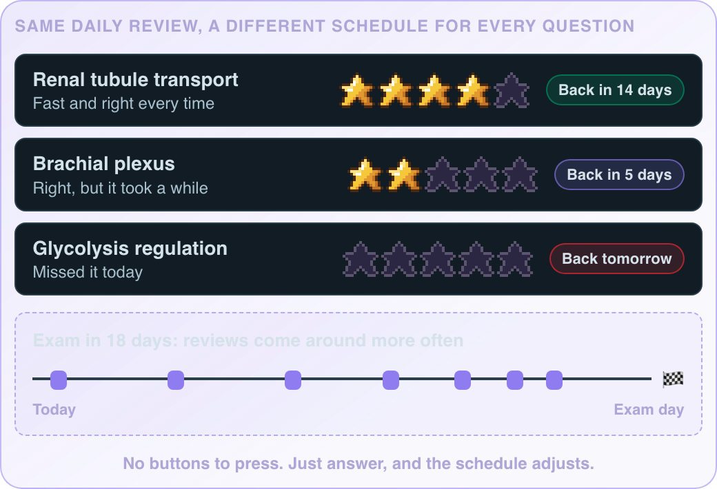 Daily Review showing star ratings and when each question comes back, tightening before exam day